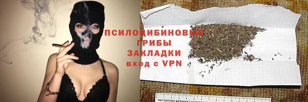 гашик Балахна