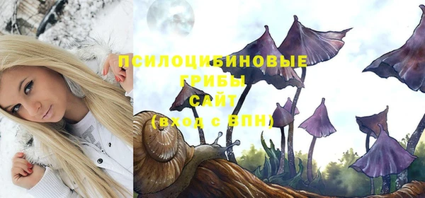гашик Балахна