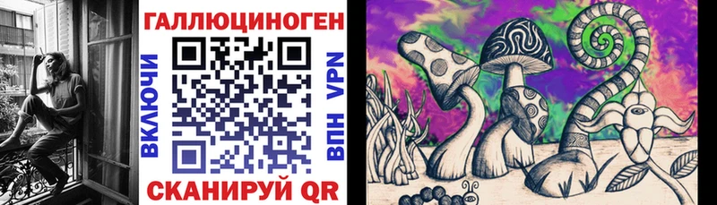 Псилоцибиновые грибы GOLDEN TEACHER  купить наркоту  Краснокаменск 