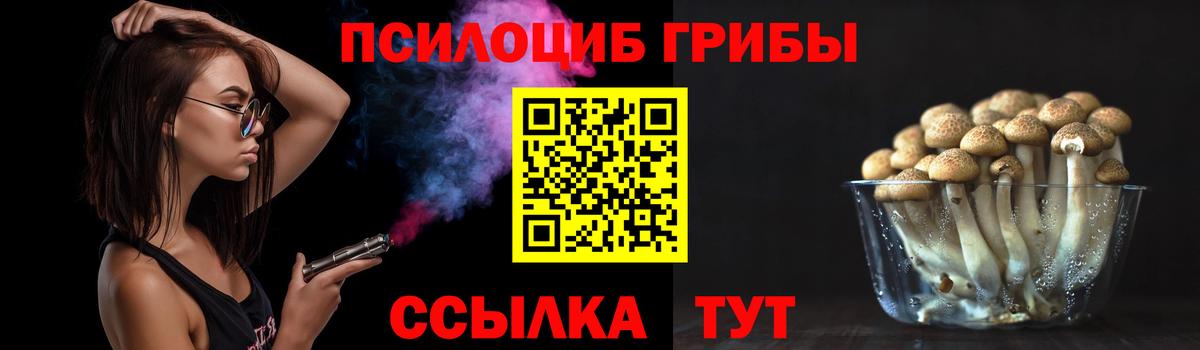 Краснокаменск  Псилоцибиновые грибы GOLDEN TEACHER  Вход с VPN 